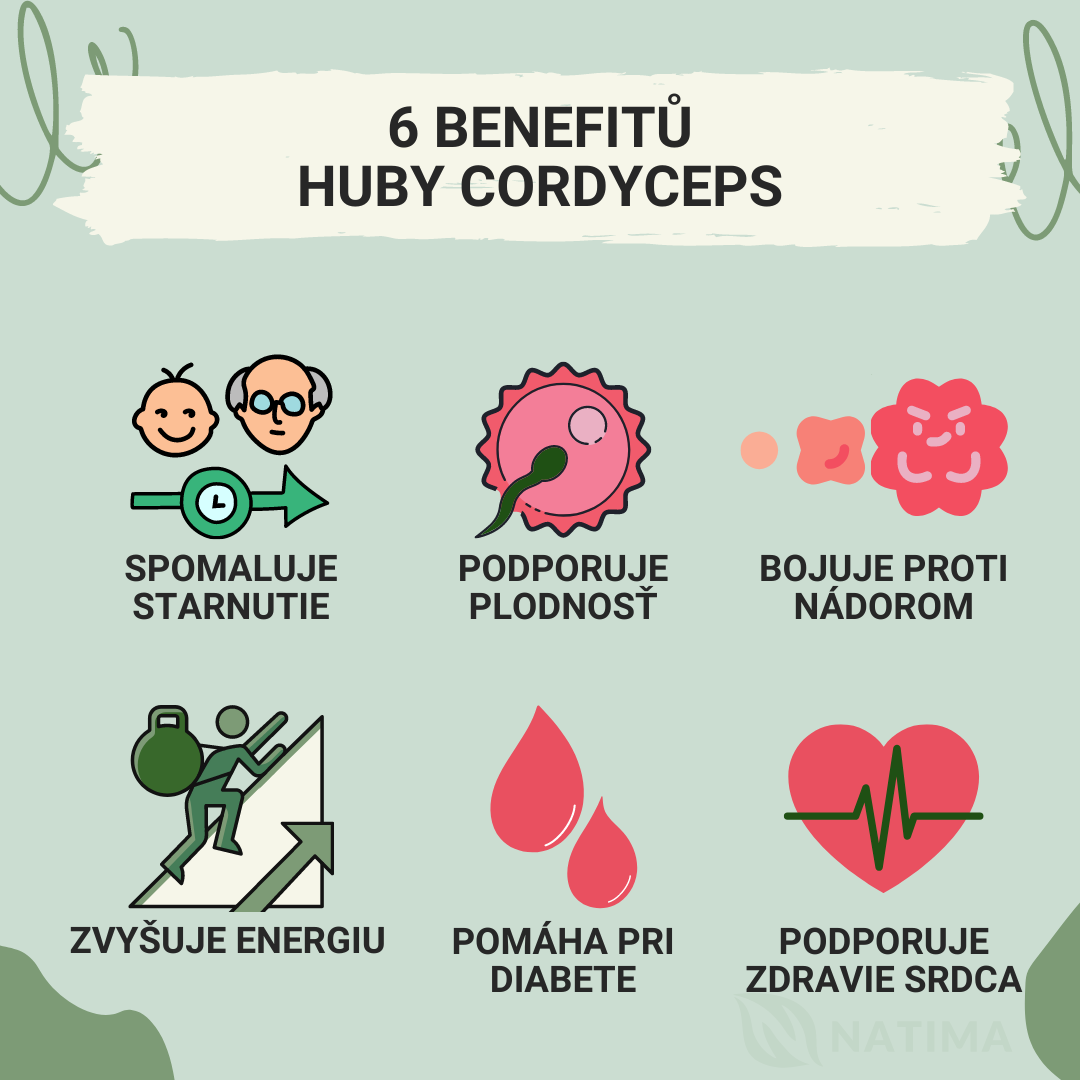 Natios Cordyceps Benefity